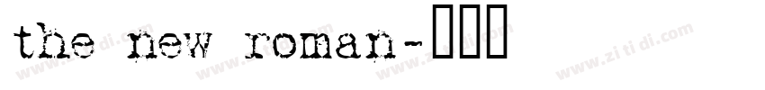 the new roman字体转换